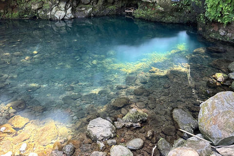 Découvrez et randonnez à São Miguel avec Rúben