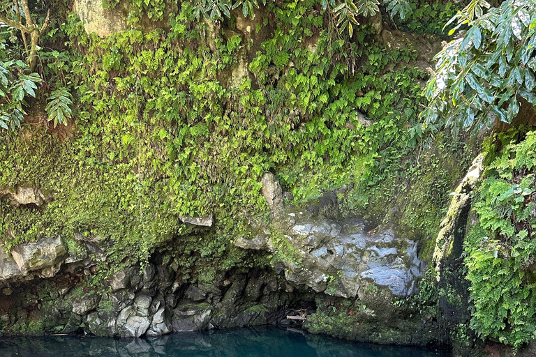 Découvrez et randonnez à São Miguel avec Rúben