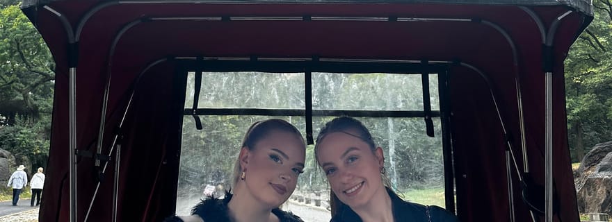 Central Park : visite guidée de 1h30 en vélo-taxi sur le thème des films et des célébrités