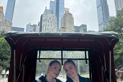 Central Park: Guided 1.5-hour Movie & Celebrity Pedicab Tour