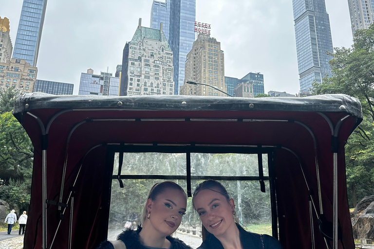NYC : visite guidée de luxe en vélo-taxi dans Central ParkNew York : visite guidée de luxe en vélo-taxi dans Central Park