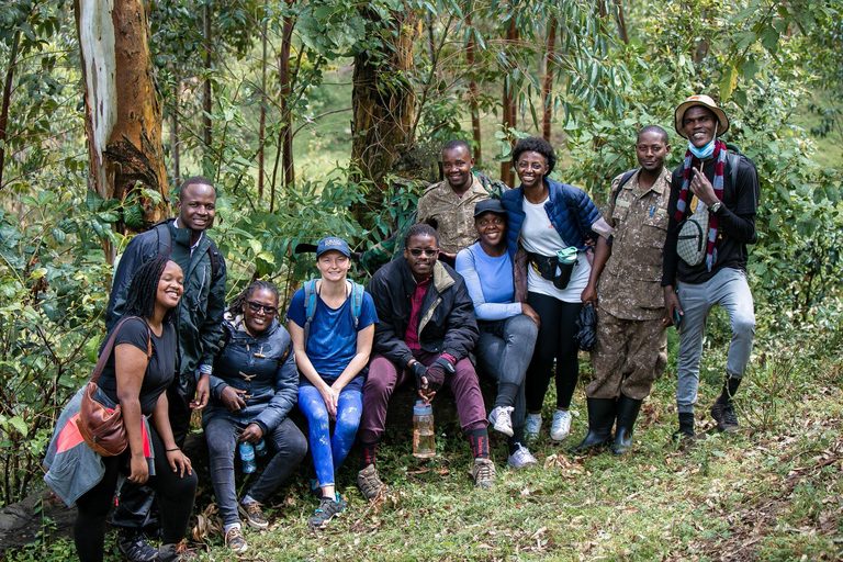 Uganda&#039;s Top Gorilla Trek: 4-Day Luxe Safari from KigaliPer Person Sharing Rate for Two