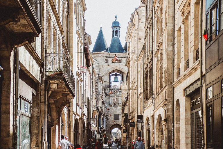 Bordeaux day trip from Biarritz in small group Small group with pick up (Spanish)