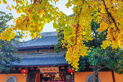 Shanghai: Spending a Chinese New Year's Day Like The Local