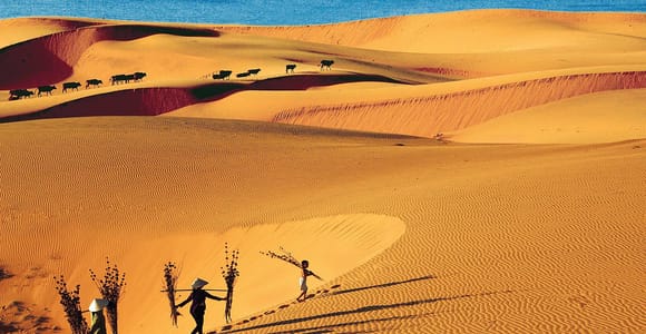 From Ho Chi Minh: Mui Ne White Sand Dunes Day Trip