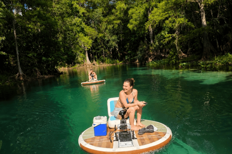 Silver Springs: Silver River GoBoat Rental GoBoat Single Two Hour Rental