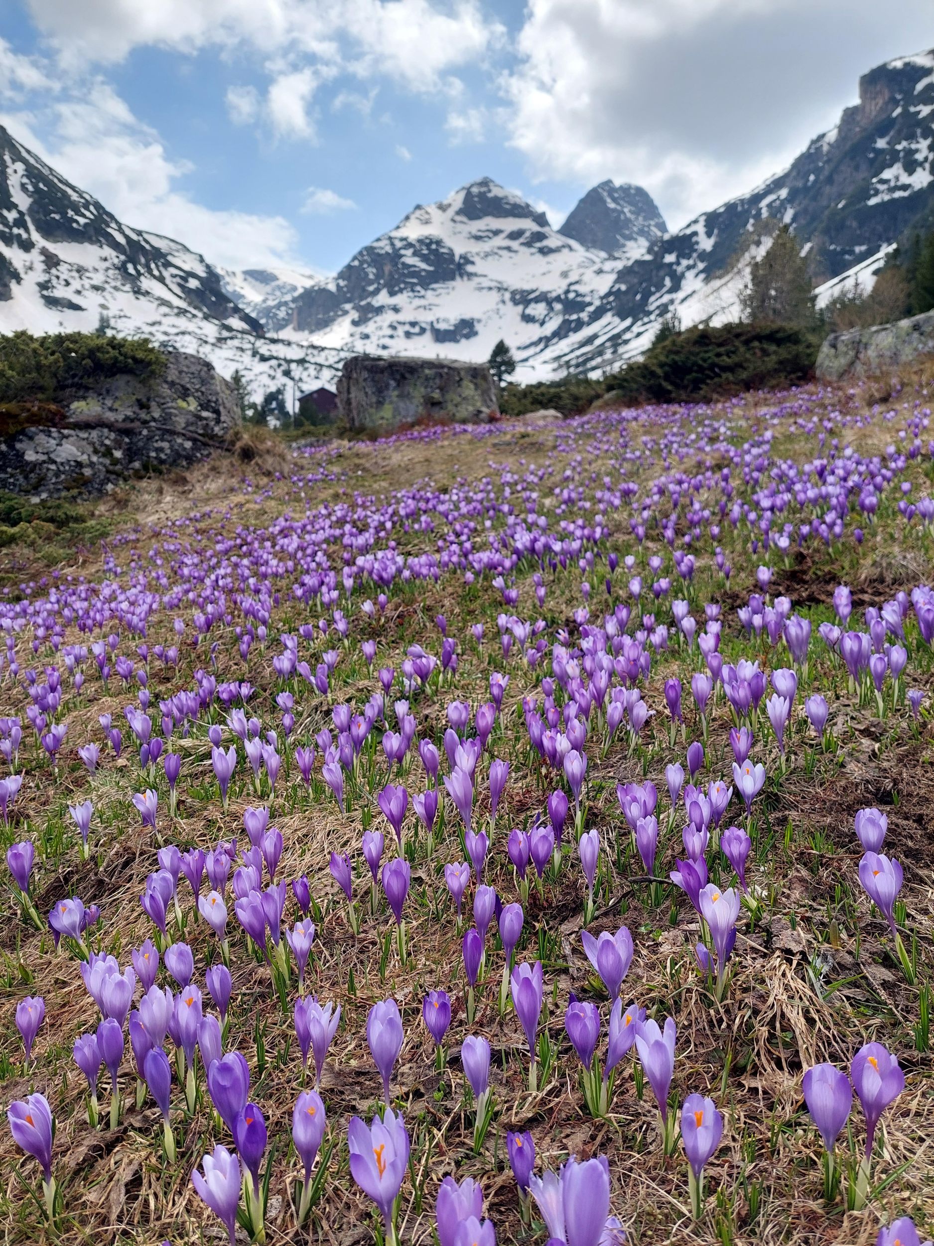 Sofia: Private Wanderung auf den Malyovitsa im Rila-Gebirge