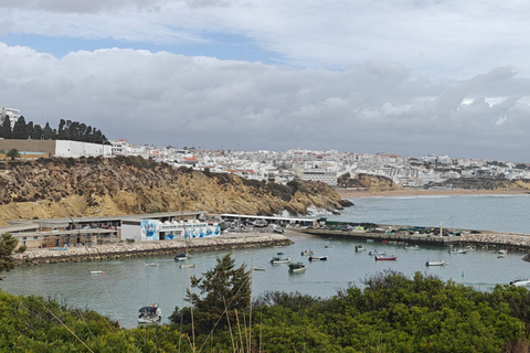 Albufeira: Albufeira Marina & west coast Tour 1.5h