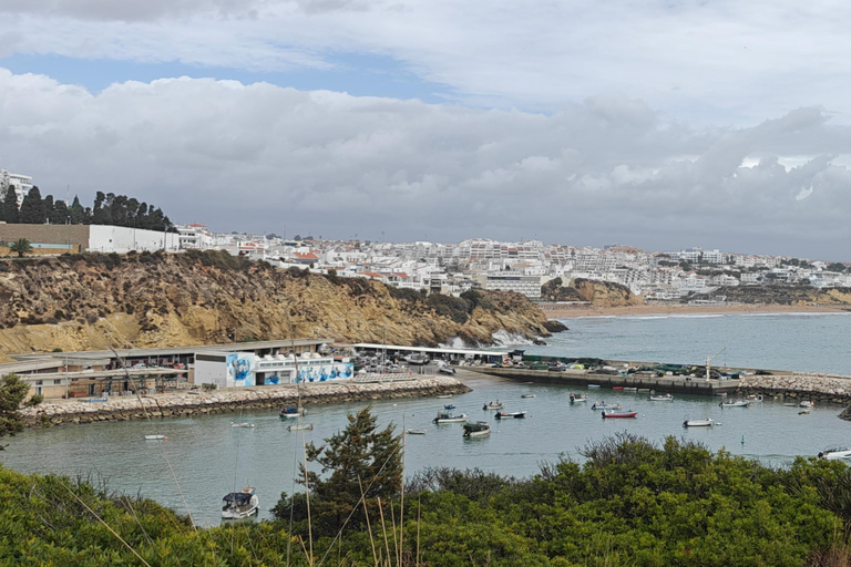 Albufeira: Albufeira Marina & west coast Tour 1.5h