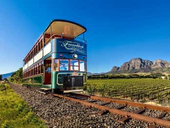 Winelands Day Tour with Tastings & Tram Ride