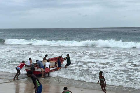 Snorkeling z żółwiami