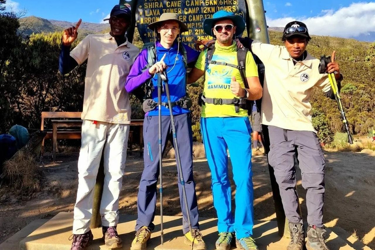 KILIMANJARO: Mt. Kilimanjaro Shira Plateau Tageswanderung