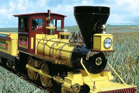 Oahu: Haleiwa &amp; Dole Plantation Deluxe Tour