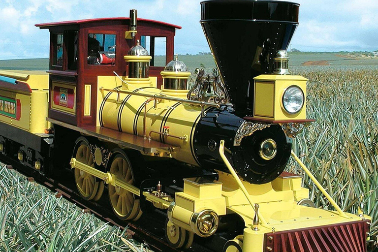 Oahu: Haleiwa &amp; Dole Plantation Deluxe Tour