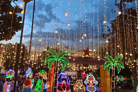 麦德林：乘坐主题车辆的圣诞灯光城市观光