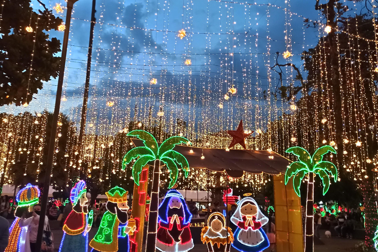 麦德林：乘坐主题车辆的圣诞灯光城市观光