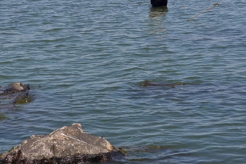 Paseo en barco por el Lago Victoria de Kisumu y caza del hipopótamo