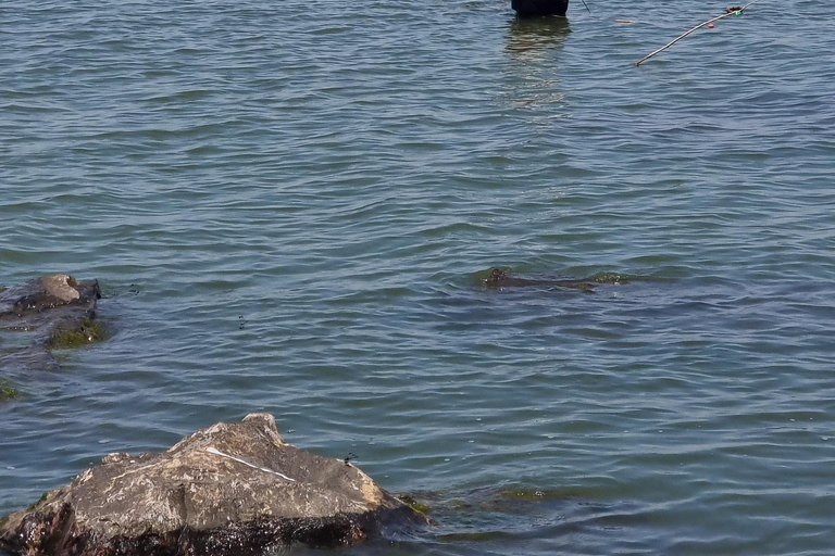 Paseo en barco por el Lago Victoria de Kisumu y caza del hipopótamo