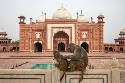 Desde Delhi: Visita al Taj Mahal con todo incluido en tren exprésTren de 2ª clase con coche y guía