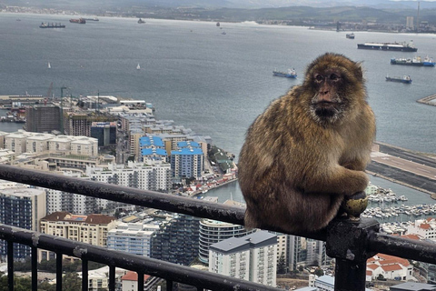 Gibraltar: Classic Rock Tour with Nature Reserve Entry