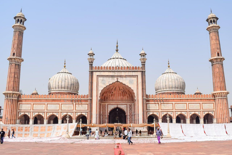 Delhi: Private Guided City Tour of Old and New Delhi Private Tour with Driver, Car and Tour Guide