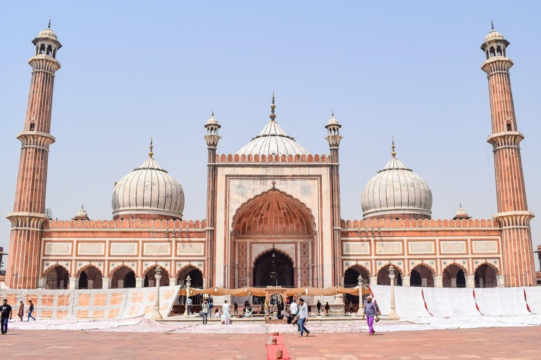 Delhi: Private Guided City Tour of Old and New Delhi Private Tour with Driver, Car and Tour Guide