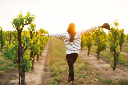 Etna: Private Combo Tour with Quad Ride & Full Wine Tasting