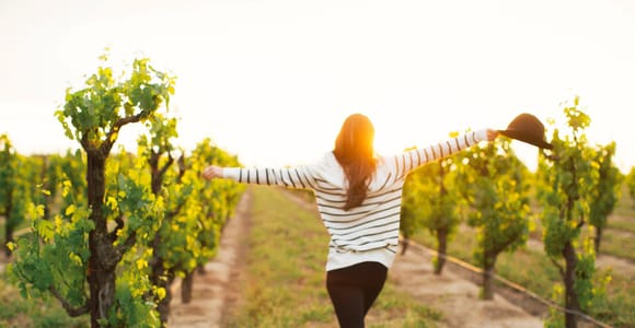 Etna Quad & Wine Combo Private Tour