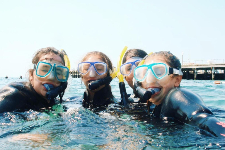 Portsea: Guided Snorkeling Tour with Weedy Sea Dragons