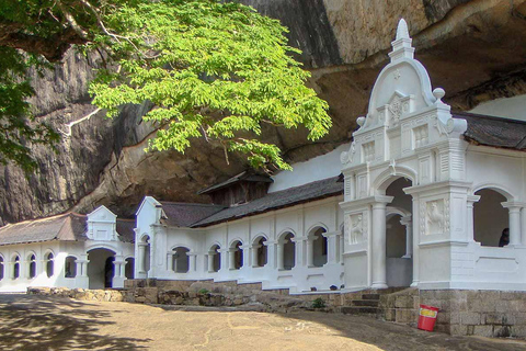 Sigiriya: Dambulla-Tempel und Dorf-Tour von Trincomalee aus