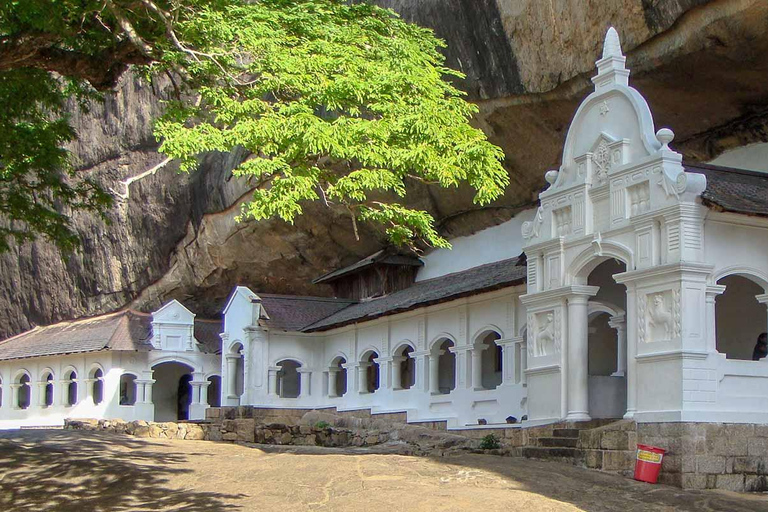 Sigiriya: Tempio di Dambulla e tour del villaggio da Trincomalee