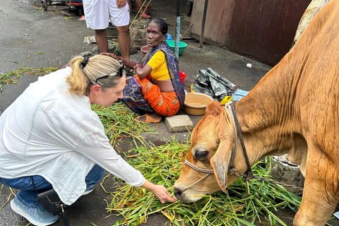 Dharavi Discovery Tours