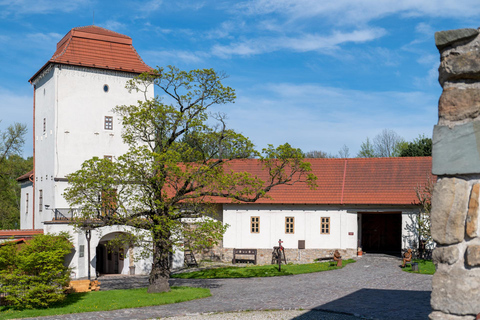 Ostrava: Entrance to Silesian Ostrava Castle