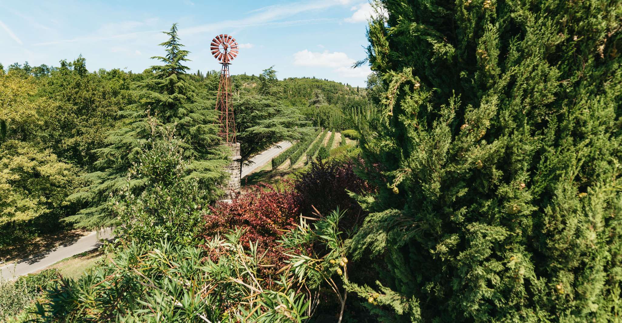 Florence: Chianti Wineries Tour with Wine Tasting photo 15