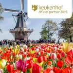Amsterdam: Keukenhof con trasferimento e guida opzionale