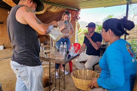 Oaxaca: Degustacja rodowego mezcalu w dolinie Ocotlan