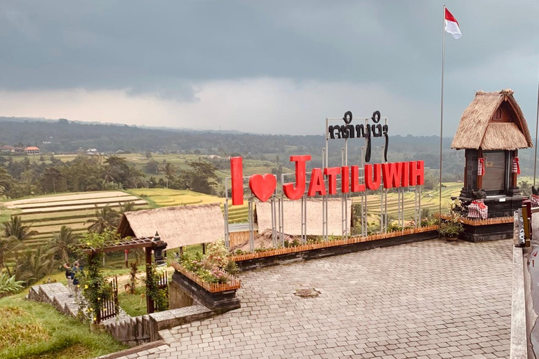 Bali : Visite privée de Jatiluwih, Ulun Danu et Tanah LotCircuit tout compris