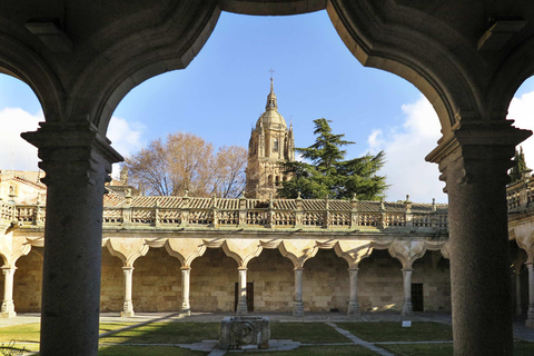 Salamanca: Private tour of the most important sites Salamanca: Private tour of the most important sites. FR