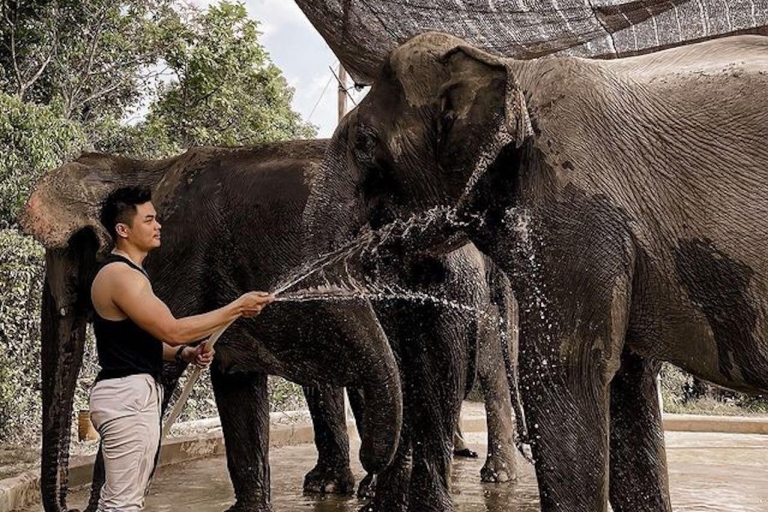Kulen Elephant Siem Reap Forest in kleine groepsreis