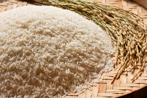 Dimbulagala Eco Trekking and Village Tour From Polonnaruwa