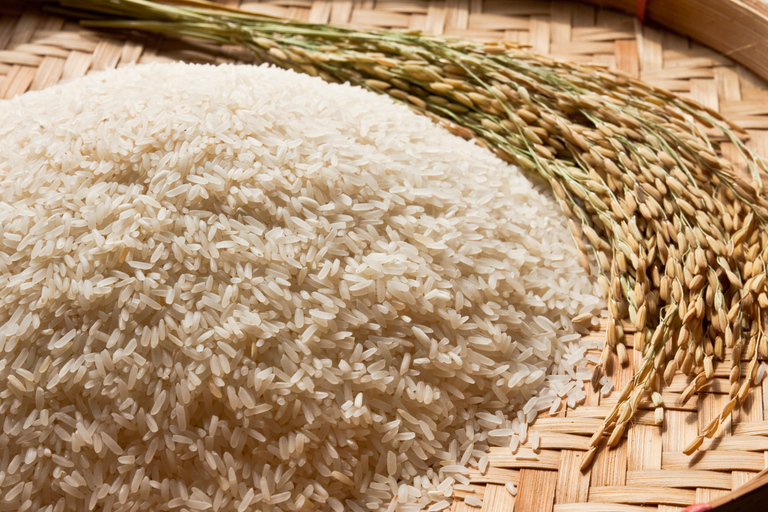 Dimbulagala Eco Trekking and Village Tour From Polonnaruwa