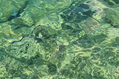 Au départ de Rhodes : Excursion d&#039;une journée sur l&#039;île de Symi et le monastère de Panormitis