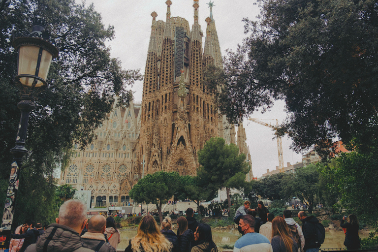 Barcelona: Sagrada Familia Guided Tour Sagrada Familia Standard Group Tour in English