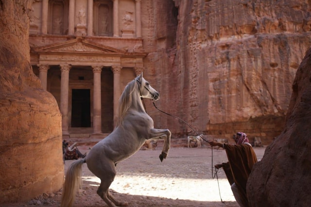 Amman: dagtour naar Petra, de grot van Lot en de Dode Zee