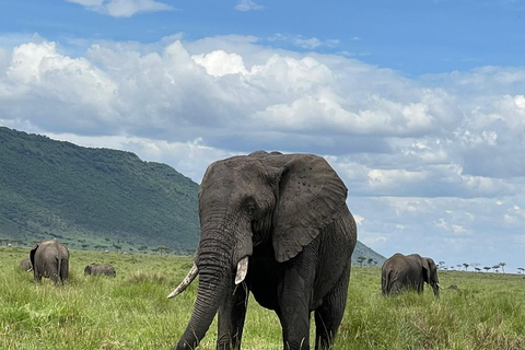 Safari economico di 4 giorni nel Masai Mara e sul Lago Nakuru