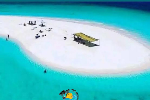 Zanzíbar: excursión de snorkel y delfines en la isla de PungumeZanzíbar: Excursión de snorkel y delfines en la isla de Pungume