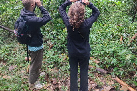 Chiang Mai: Spotkanie z dzikim gibonem u rodziny goszczącej KarenChiang Mai: 2-dniowe spotkanie z gibonami z Karen Homestay