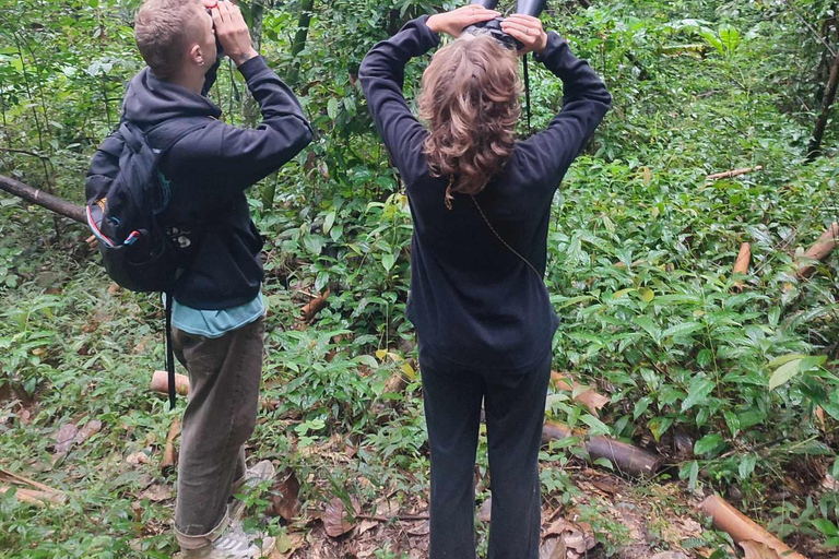 Chiang Mai: Spotkanie z dzikim gibonem u rodziny goszczącej KarenChiang Mai: 2-dniowe spotkanie z gibonami z Karen Homestay