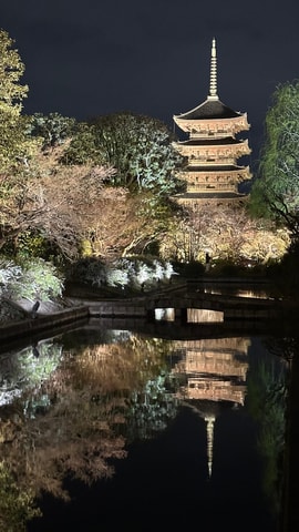 Kyoto: Toji Temple Walking Tour with Meditation Guide