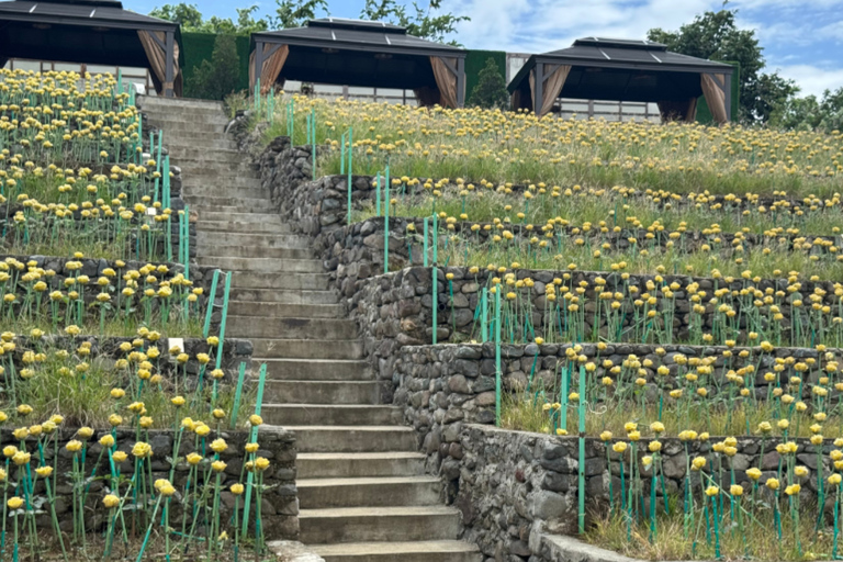 From Manila: A Day in Nueva Ecija